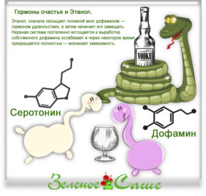 Этанол, сначала насыщает головной мозг дофамином — гормоном удовольствия, а затем начинает его замещать. Нервная система постепенно истощается и выработка собственного дофамина ослабевает и через некоторое время прекращается полностью — возникает зависимость.